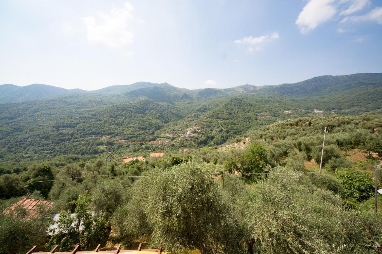 Il Nido Delle Rondini Villa Testico Exterior foto
